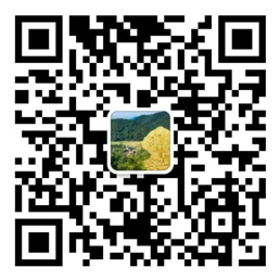 28圈app官网